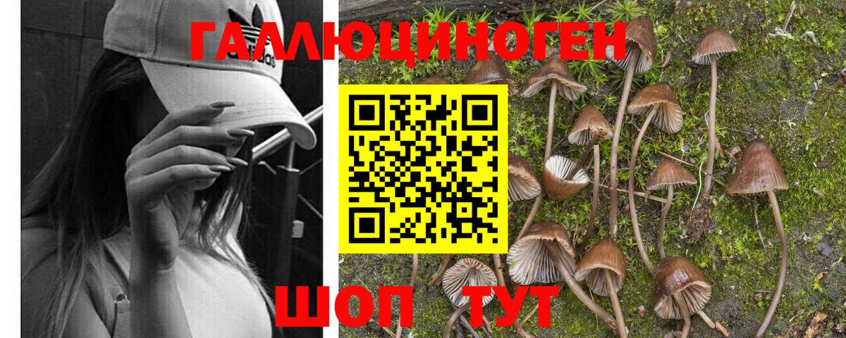 Меф МЯУ МЯУ   Липецк  КЕТАМИН  A-PVP СК кристаллы  Codein  Бошки Шишки  АМФЕТАМИН кристаллы  Вход с VPN  ГАШ 