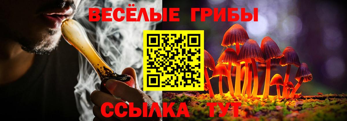 Псилоцибиновые грибы прущие грибы Липецк